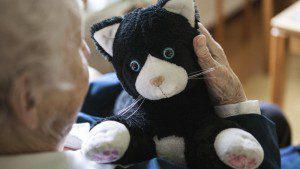 JustoCat can help decrease loneliness and promote interaction